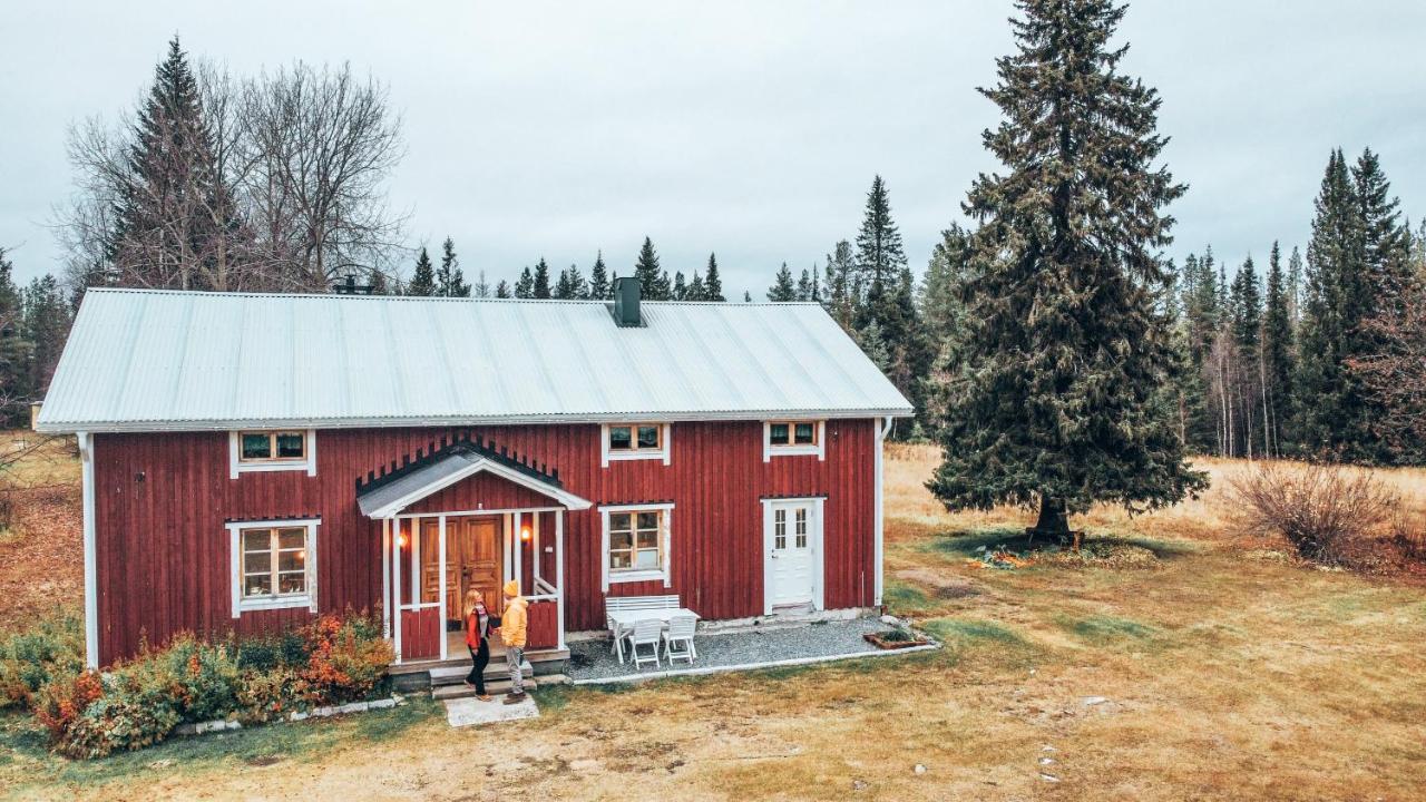 Taiga Forest Lodge Gällivare Esterno foto